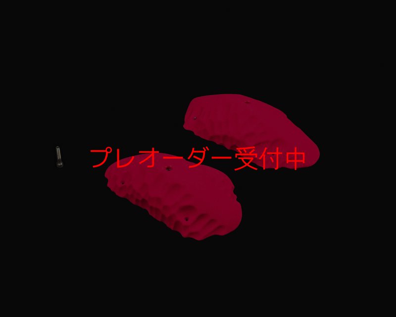 画像2: RIDGES - SLOPERS 3/プレオーダー (2)