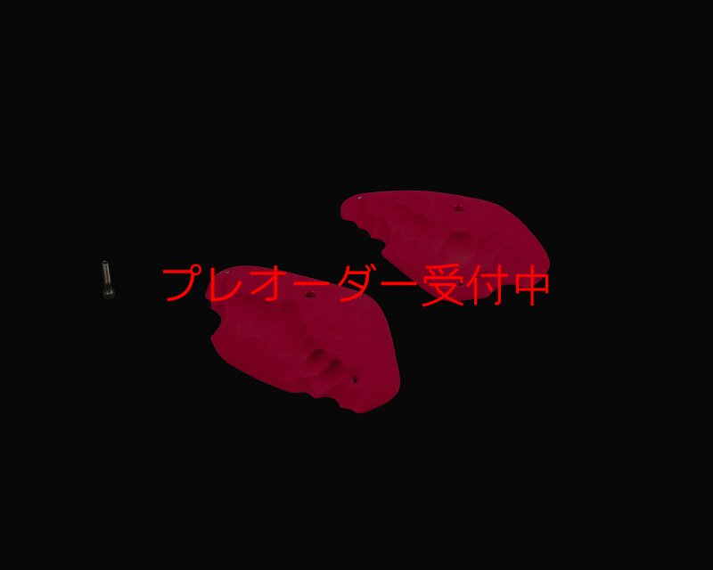 画像1: RIDGES - PLATES 1/プレオーダー (1)