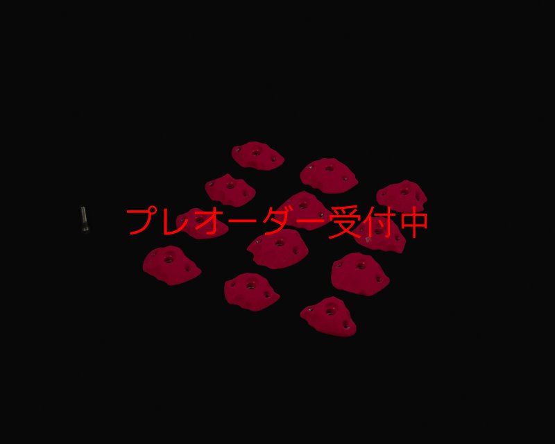 画像1: RIDGES - FOOT 2/プレオーダー (1)