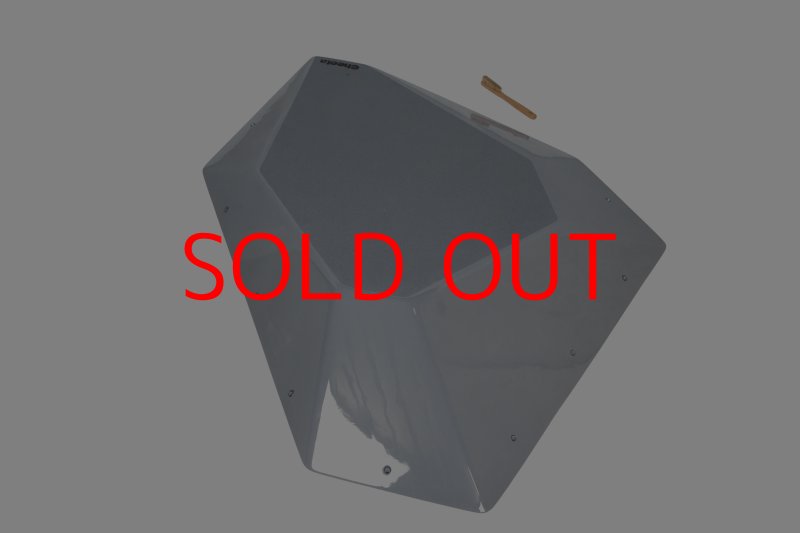 画像4: CT　Fat Silex L1 DT (4)