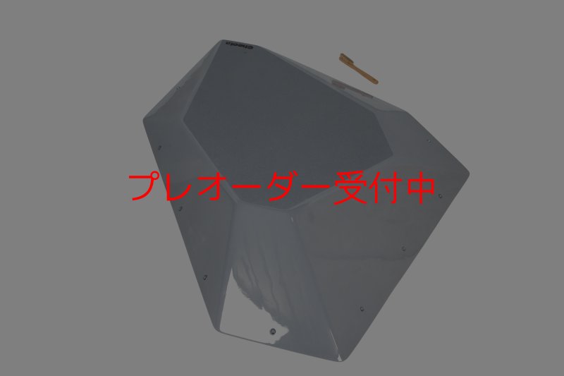 画像4: CT　Fat Silex L1 DT/プレオーダー (4)