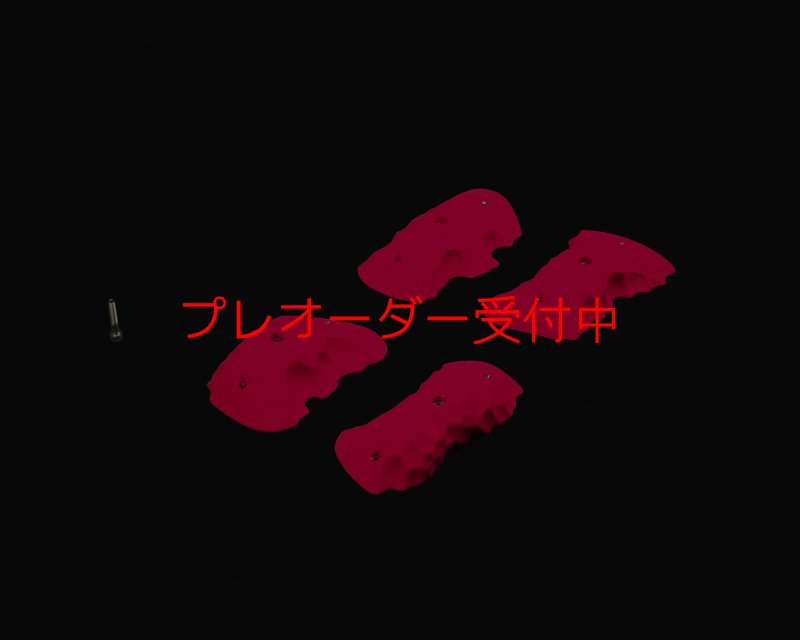 画像1: RIDGES - PINCHES 2/プレオーダー (1)