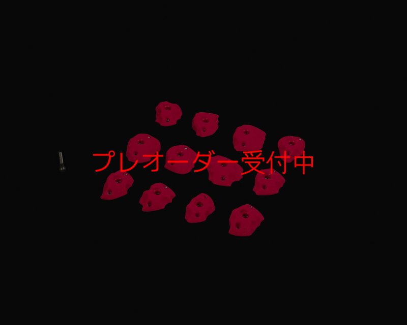 画像3: RIDGES - FOOT 2/プレオーダー (3)