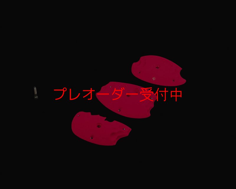 画像2: RIDGES - PLATES 3/プレオーダー (2)