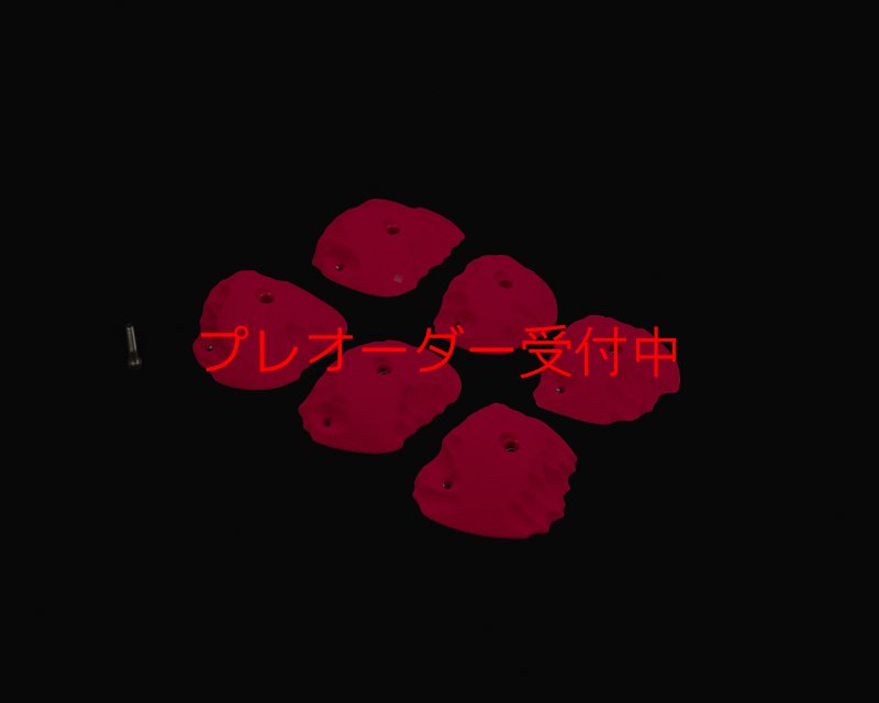 画像3: RIDGES - JUGS 2/プレオーダー (3)