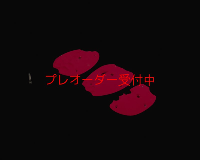 画像3: RIDGES - PLATES 3/プレオーダー (3)