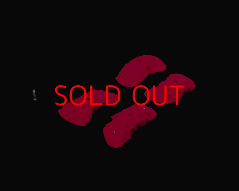 画像3: CP RIDGES - PINCHES 2 (3)