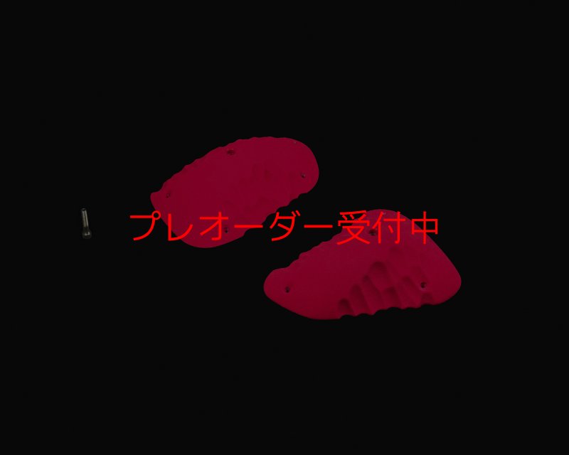 画像2: RIDGES - SLOPERS 4/プレオーダー (2)