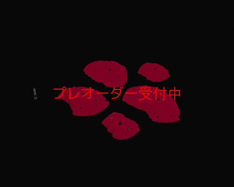 画像1: RIDGES - EDGES FLAT/プレオーダー (1)