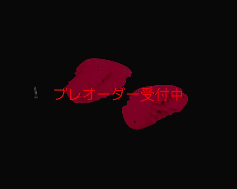 画像2: RIDGES - SLOPERS 1/プレオーダー (2)