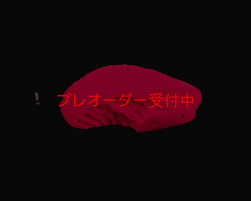 画像1: RIDGES - SLOPER BIG 1/プレオーダー (1)