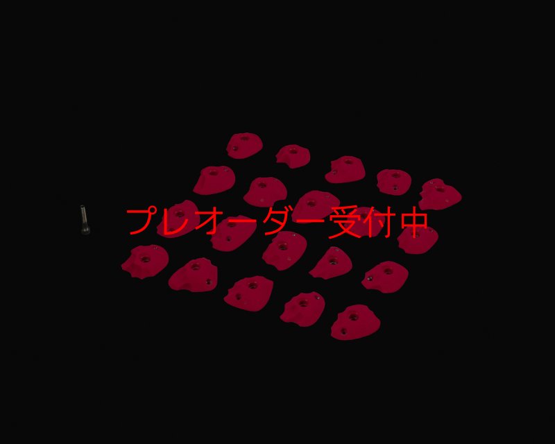 画像3: RIDGES - FOOT 1/プレオーダー (3)