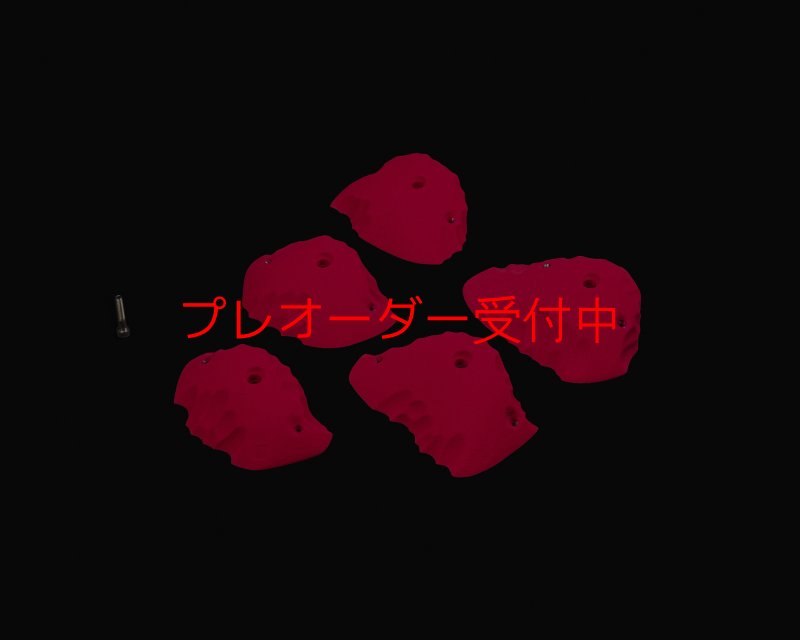 画像1: RIDGES - JUGS 1/プレオーダー (1)