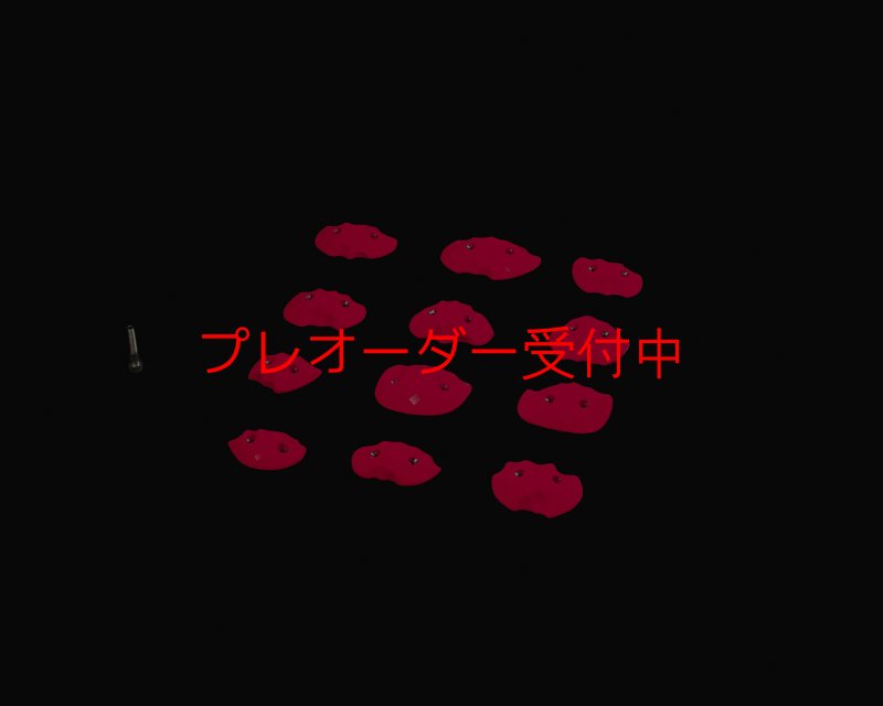 画像1: RIDGES - CRIMPS OPEN SCREW-ON/プレオーダー (1)