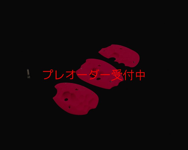 画像1: RIDGES - PLATES 3/プレオーダー (1)