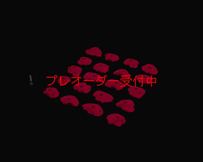 画像2: RIDGES - FOOT 1/プレオーダー (2)