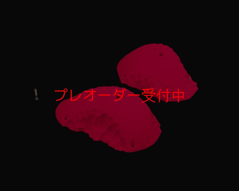 画像1: RIDGES - ROOF JUGS 2/プレオーダー (1)