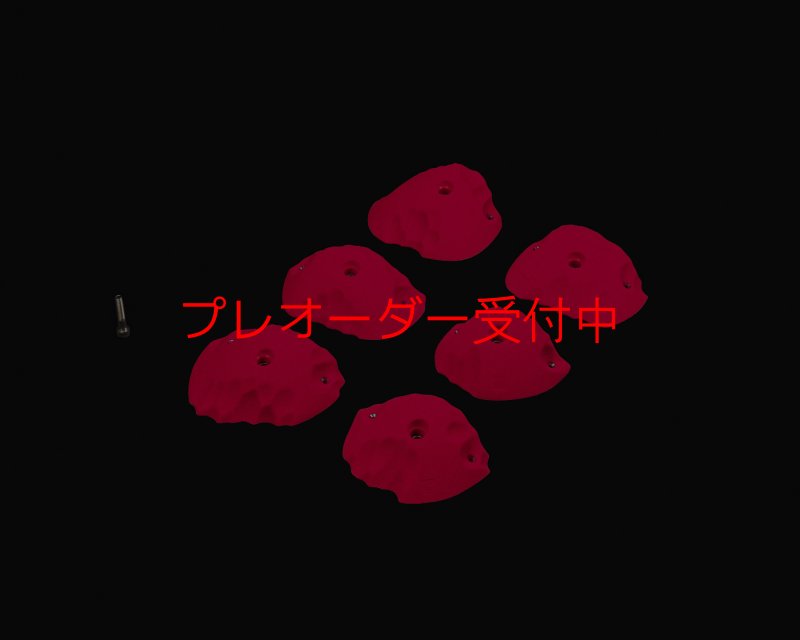 画像1: RIDGES - JUGS 2/プレオーダー (1)