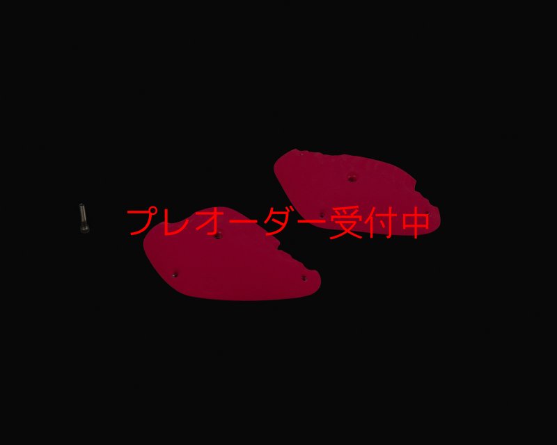 画像2: RIDGES - PLATES 1/プレオーダー (2)