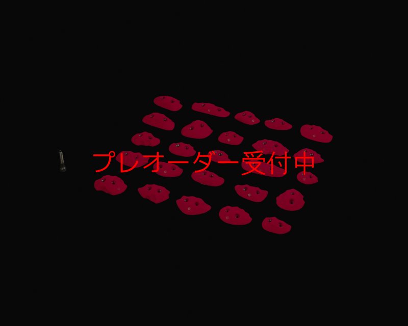画像1: RIDGES - JIBS SCREW-ON/プレオーダー (1)