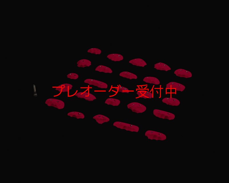 画像2: RIDGES - JIBS SCREW-ON/プレオーダー (2)