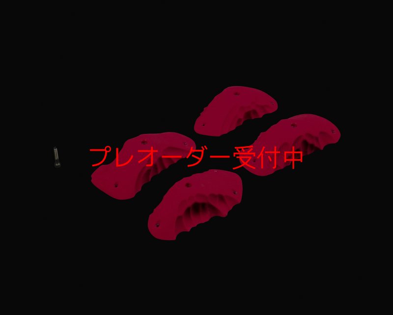 画像1: RIDGES - PINCHES 1/プレオーダー (1)