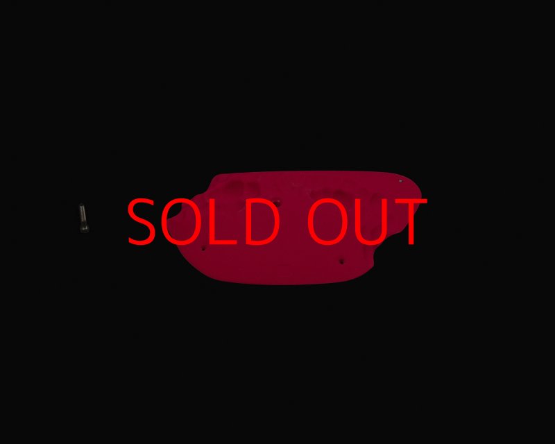 画像2: CP RIDGES - PLATE BIG 1 (2)