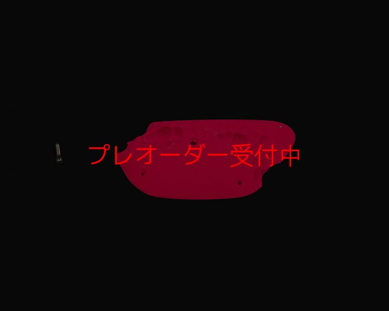 画像2: RIDGES - PLATE BIG 1/プレオーダー (2)