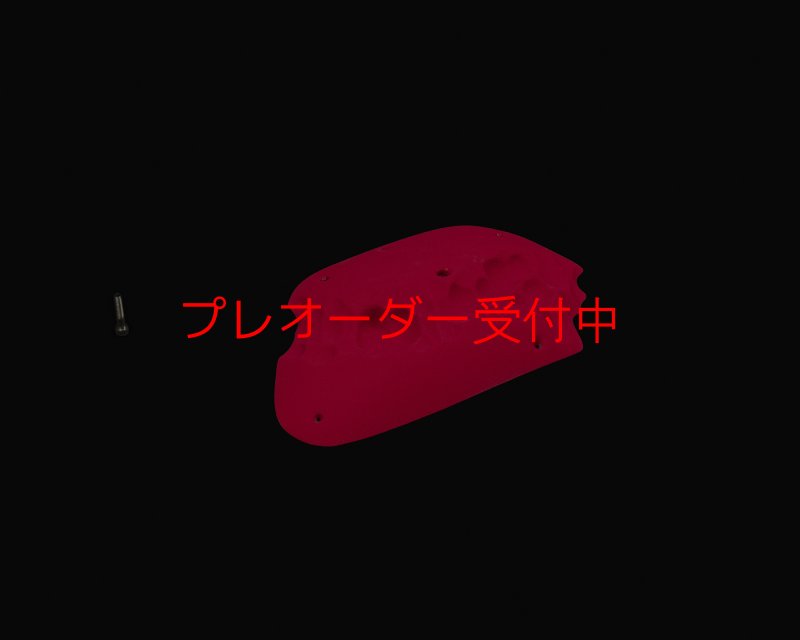 画像3: RIDGES - PLATE BIG 1/プレオーダー (3)