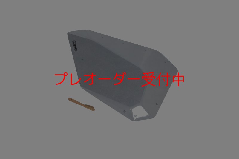 画像1: CT　Fat Silex L2 DT/プレオーダー (1)