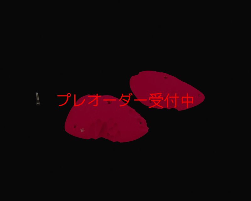 画像1: RIDGES - SLOPERS 1/プレオーダー (1)