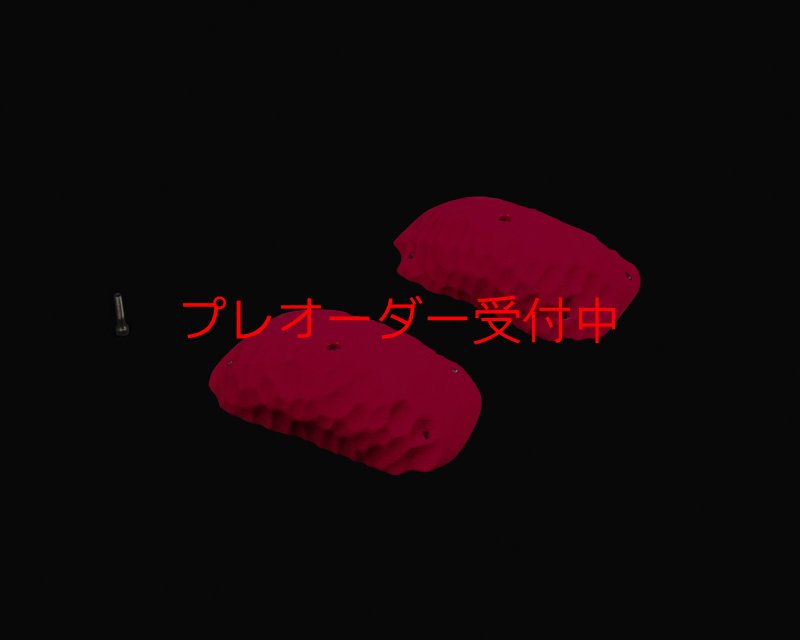 画像2: RIDGES - SLOPERS 2/プレオーダー (2)