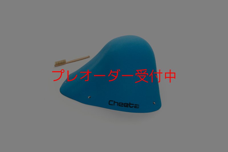 画像3: CT Wave 6/プレオーダー (3)