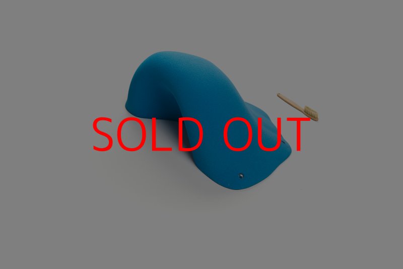 画像1: CT Wave 5 (1)