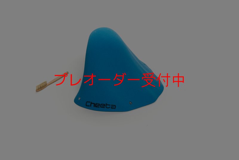 画像2: CT Wave 4/プレオーダー (2)