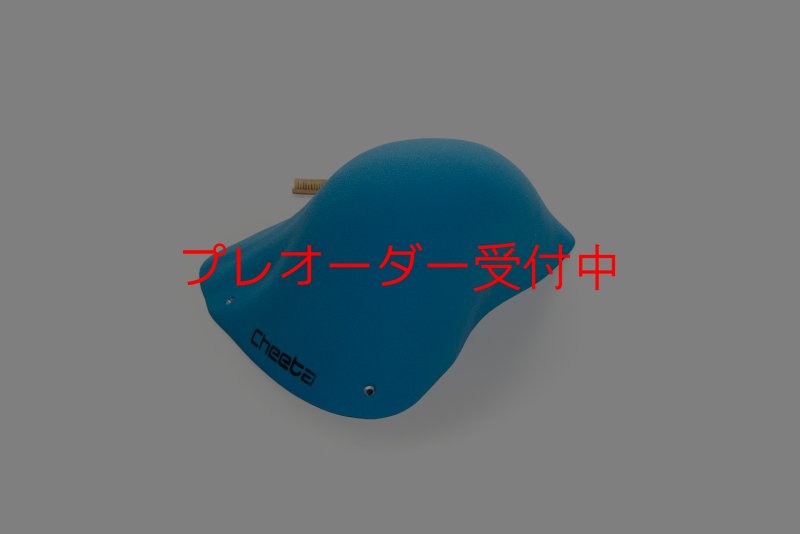 画像1: CT Wave 6/プレオーダー (1)