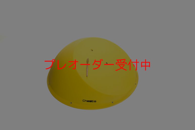 画像1: CT Sky-ball L1/プレオーダー (1)
