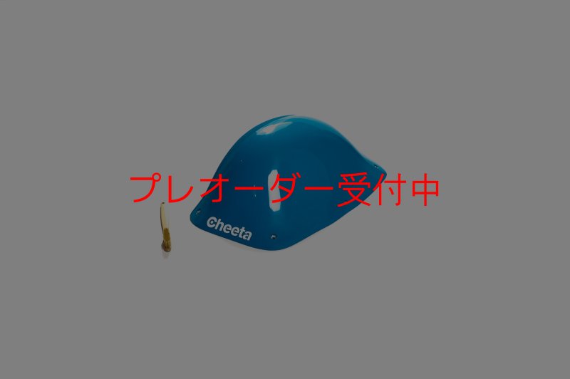 画像3: CT Wave 2 DT/プレオーダー (3)