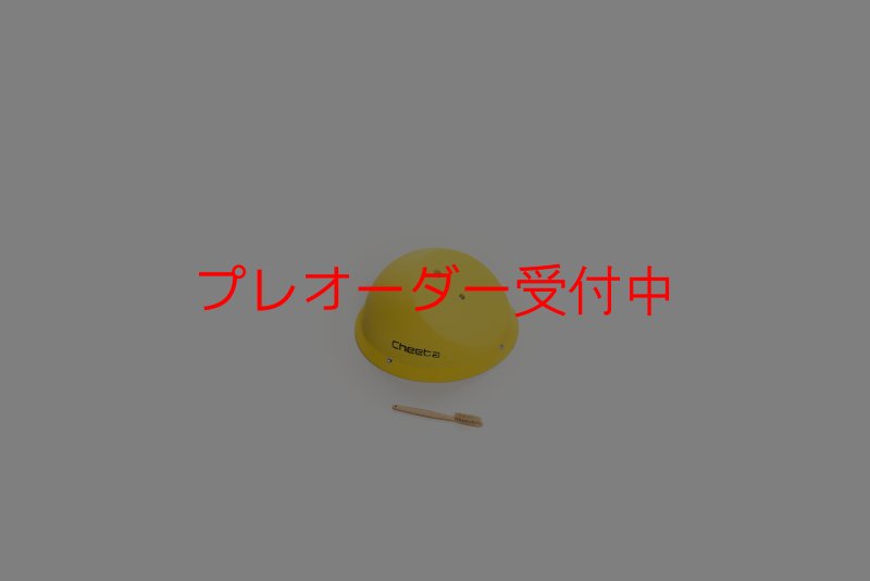 画像1: CT Sky-ball S1/プレオーダー (1)