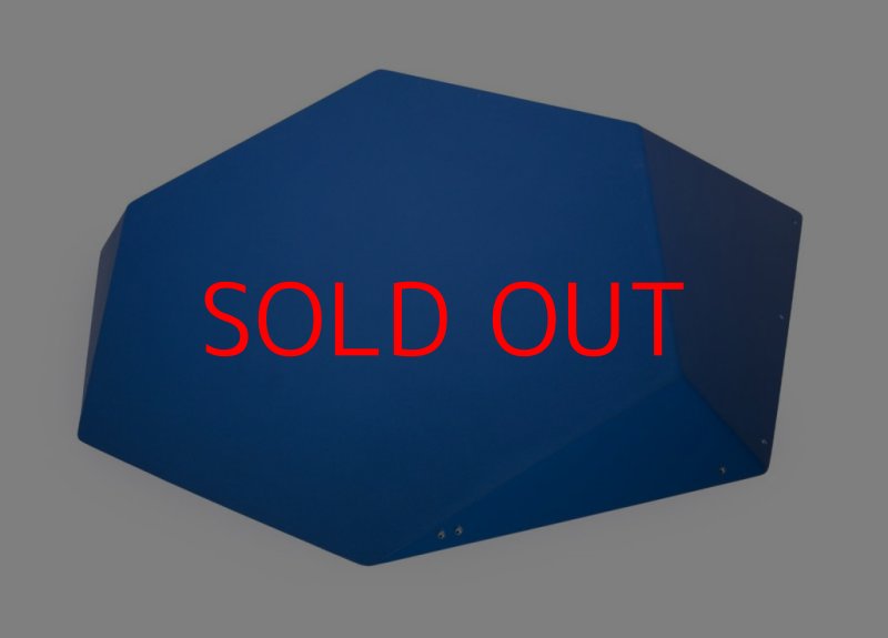 画像3: SQ　FRUTTI DI BOSCO PRO 11 (3)