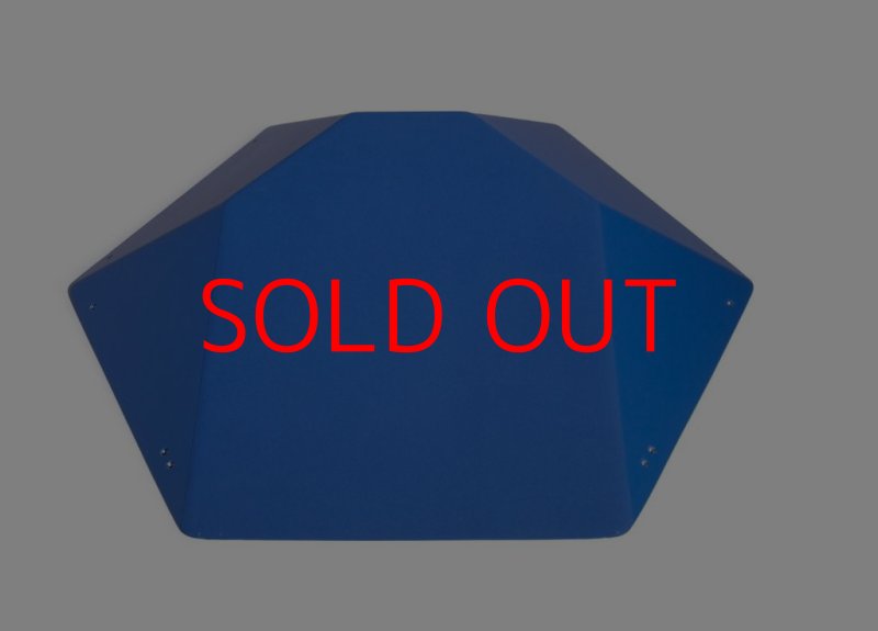 画像2: SQ　FRUTTI DI BOSCO PRO 07 (2)