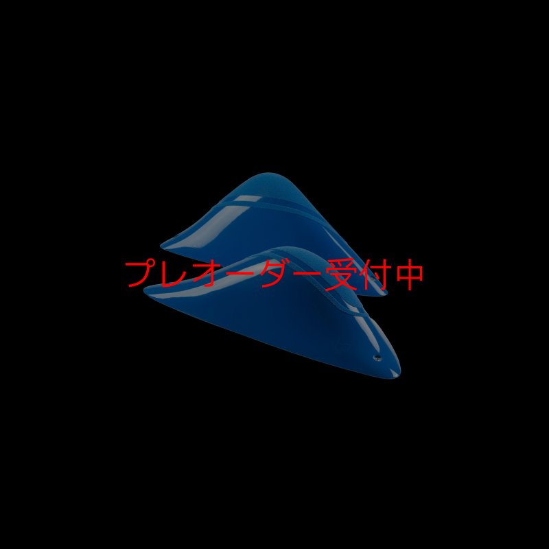画像4: BP POWER LINE - giga jug / プレオーダー (4)