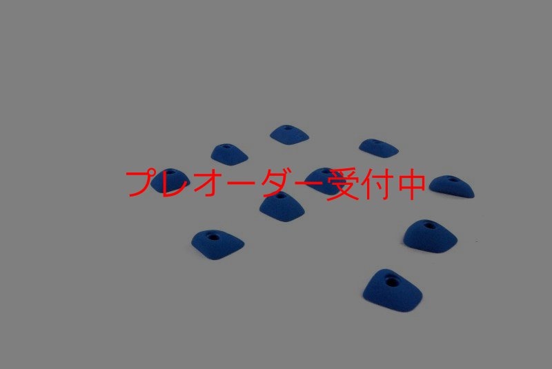 画像2: BP　コンペティション　フットホールド/プレオーダー (2)