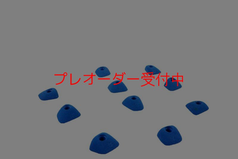 画像4: BP　コンペティション　フットホールド/プレオーダー (4)