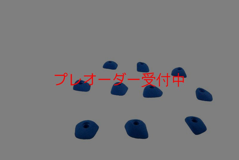 画像3: BP　コンペティション　フットホールド/プレオーダー (3)