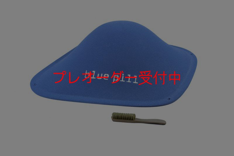 画像2: BP　ファイバー　インプレッション　9/プレオーダー (2)