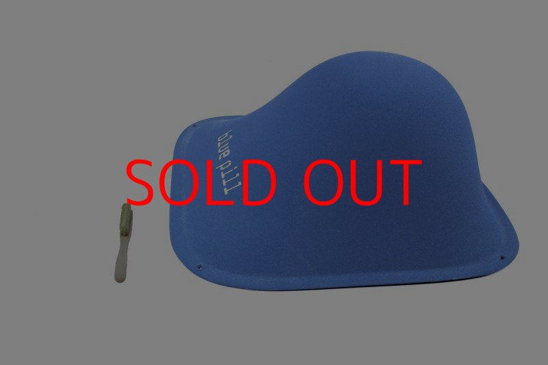 画像3: BP　ファイバー　インプレッション　10 (3)