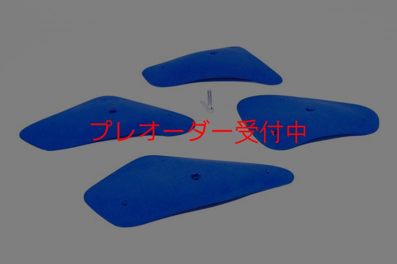 画像1: BP　コンペティション　ビッグレッジ/プレオーダー (1)