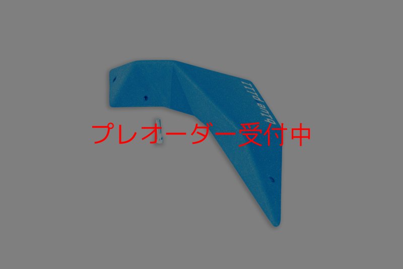 画像1: BP good wing right 750/プレオーダー (1)