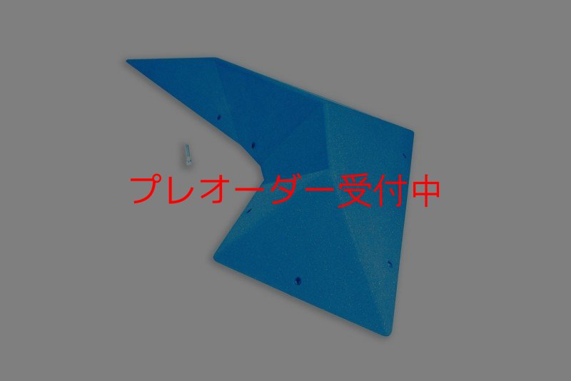 画像1: BP bad wing left 1500/プレオーダー (1)